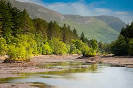 Placeholder image of a scenic hiking trail in the mountains.